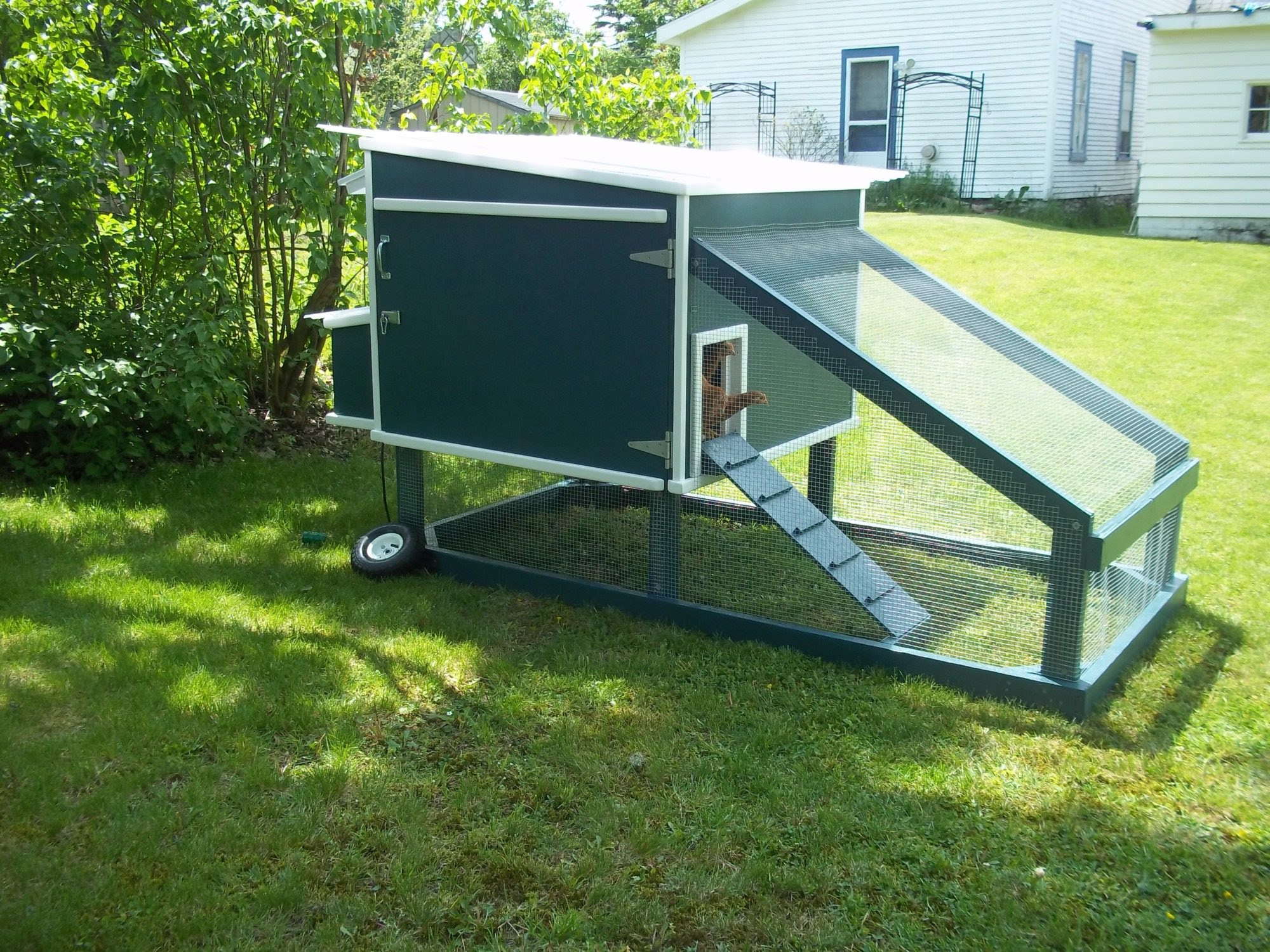 Green Chicken Tractor - BackYard Chickens Community