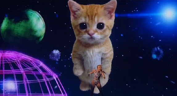 American Music Awards 13 Miley Cyrus Chante Wrecking Ball Avec Un Chat