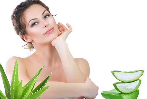 Nha đam (hay còn gọi là lô hội) có tác dụng làm da trắng sáng, khỏe mạnh.