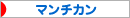 にほんブログ村 猫ブログ マンチカンへ