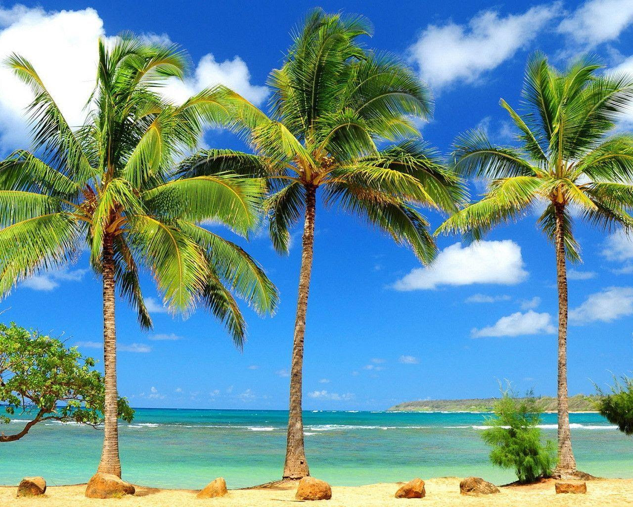 Image Result For Resort Hdr Wallpapers