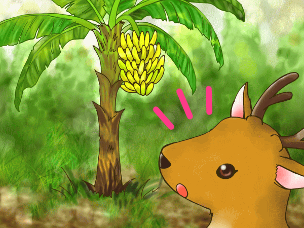 美しい花の画像 新鮮なイラスト バナナ 木