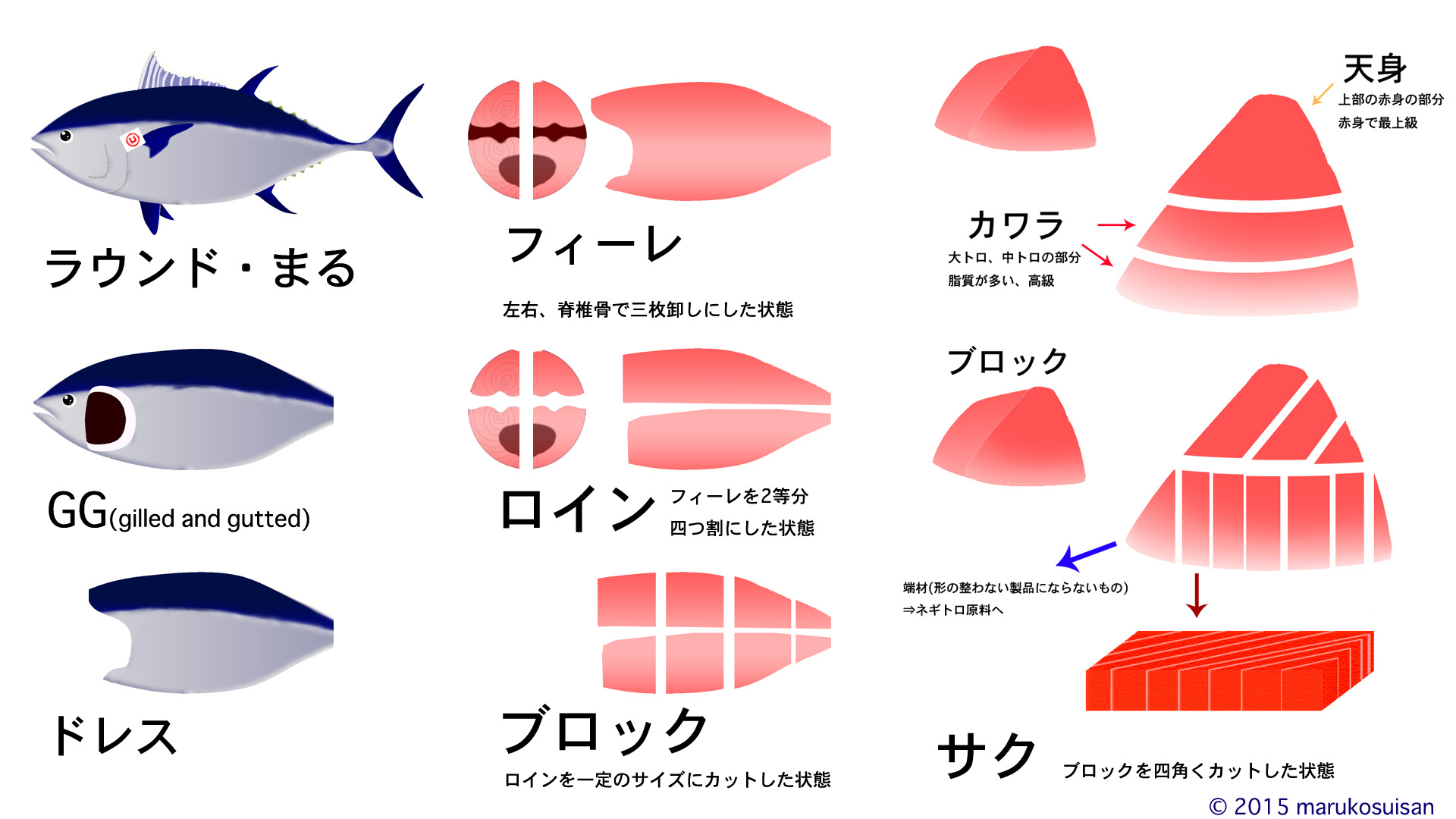マルコ水産が語るまぐろの小咄 さばき方と呼び名