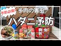 200以上 ハダニ 駆除 薬 994446-ハダニ 駆除 薬剤