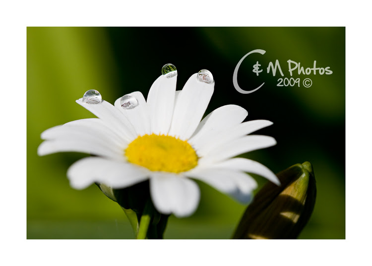 June1209_0030ew