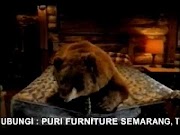 Update PAMERAN IN STORE PROMO SPRING AIR SPRING BED DI PURI FURNITURE PURI MEBEL SEMARANG, paling populer!