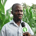 Does Granular Fertilizer Go Bad Download Sound Mp3 and Mp4