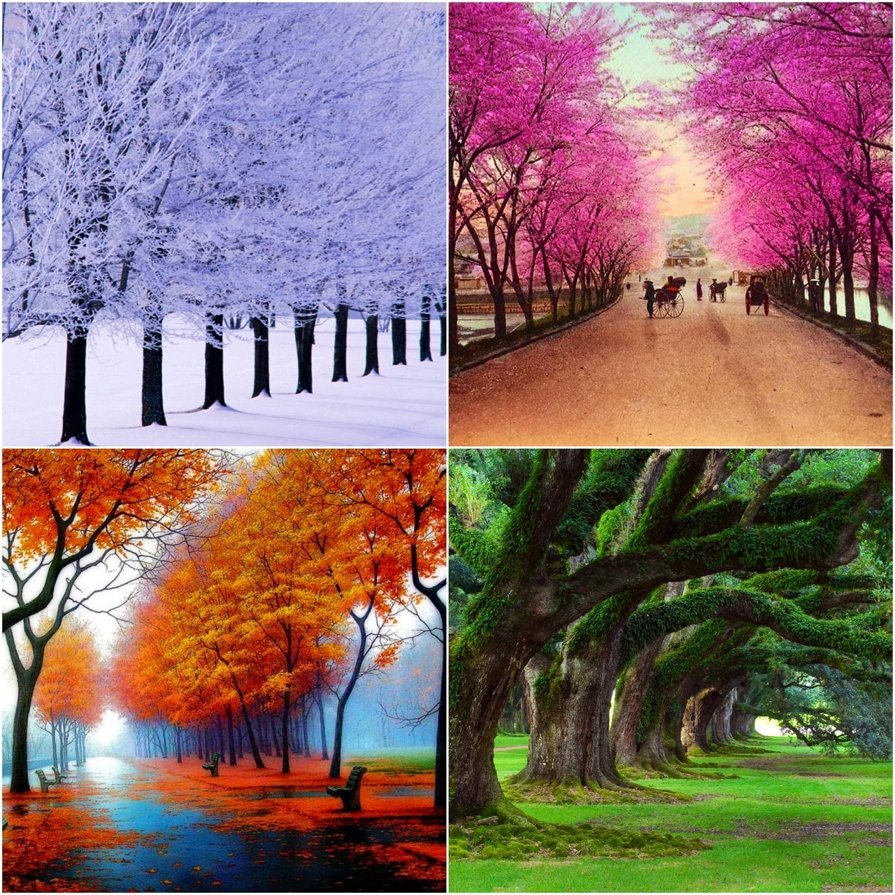http://24.media.tumblr.com/tumblr_m6ke1vMzGd1qb0o05o1_r2_1280.jpg