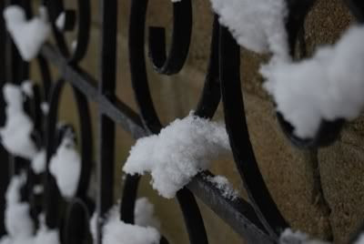 Winter at Home