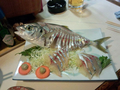 シマアジの刺身 宮崎で釣り たまには遠征したい
