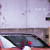 9+ Aesthetic Red Anime Pfp