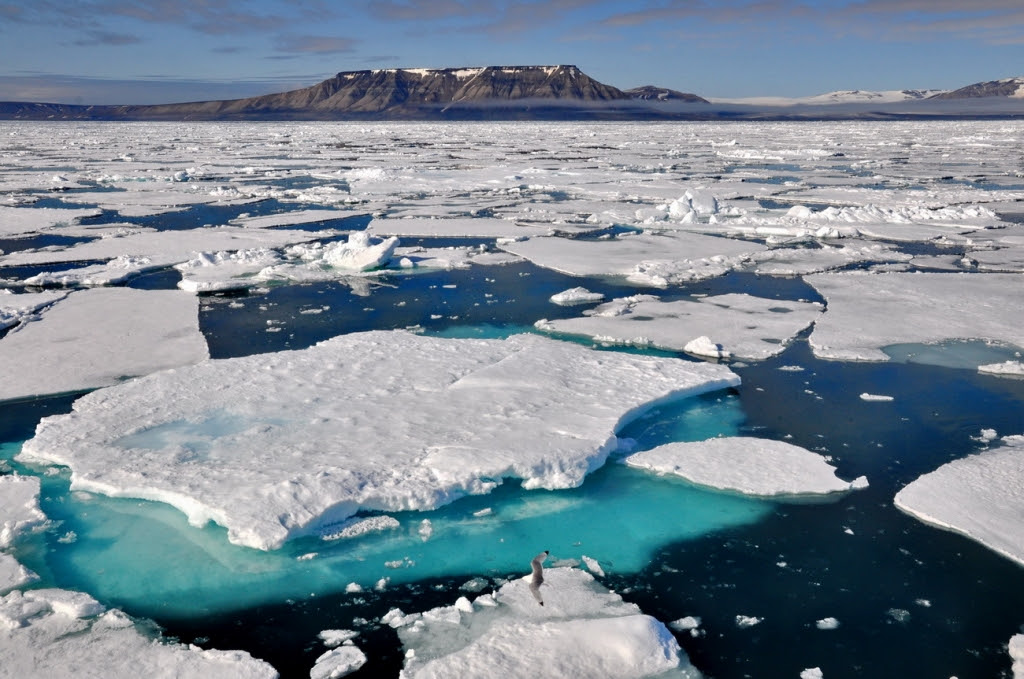 La Banquise Et Autres Glacons Blog Pat L Expat A Paname