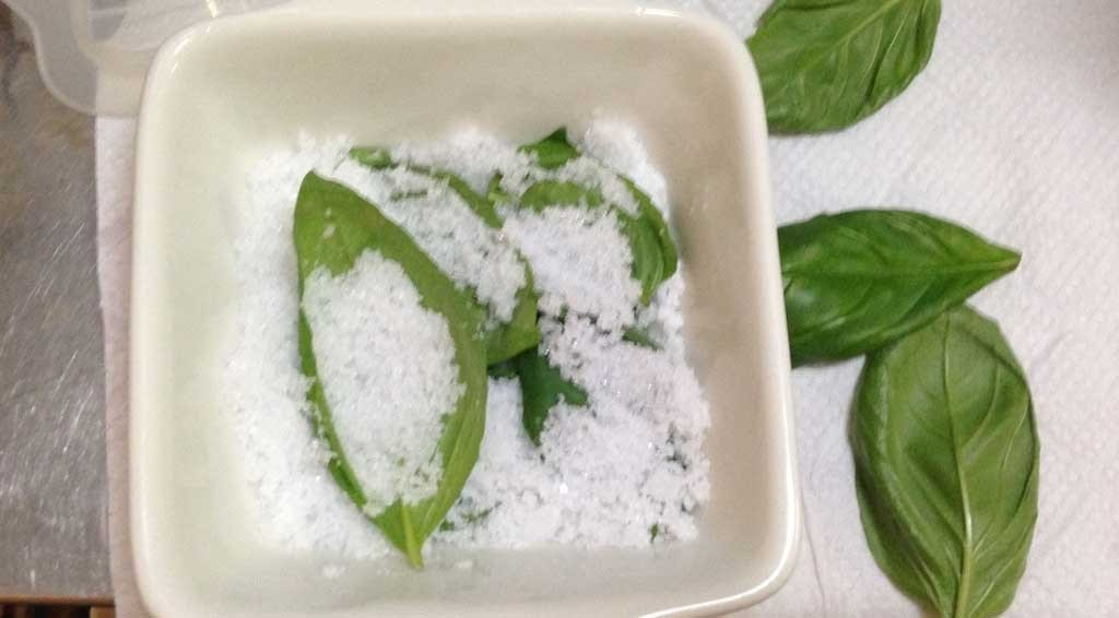 バジル塩 だいどこ実験室