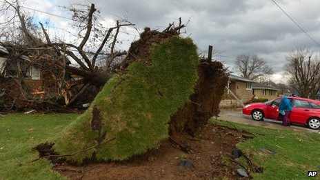 An uprooted tree in Pekin, Ill. Photo: 17 November 2013