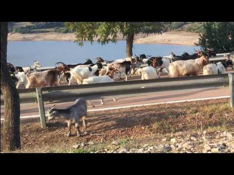 7 Bonnie Flumendosa Rait verso Sadali - giuseppecartablog
