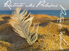 Retrato das Palavras / Picturing Words