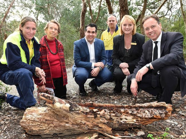 Environment Minister Greg Hunt and representatives from the Coalition's Green Army. Picture: Steve Tanner