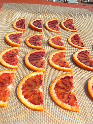 oranges à confire.jpg