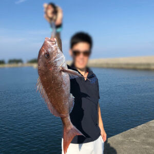 Major Craft クロスライド ブレード インプレ ジグパラ ブレード ビッグバッカーとの比較 釣りケンfishing