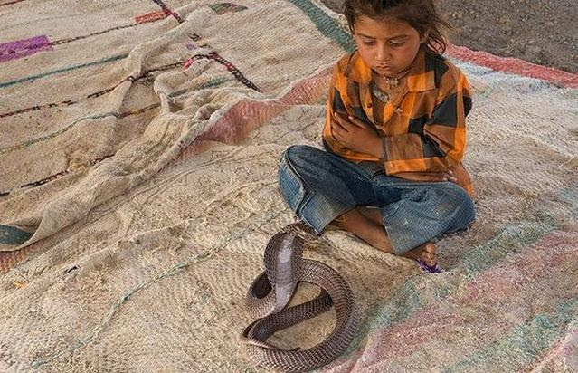 Very small snake charmers (15 pics)