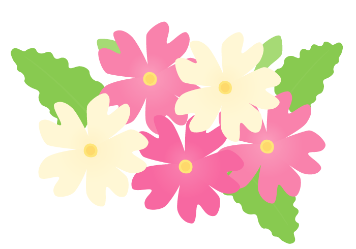 サクラソウ 桜草 の花 かわいい無料のフリーイラスト素材集