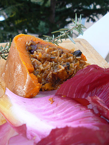 courge fin 1.jpg