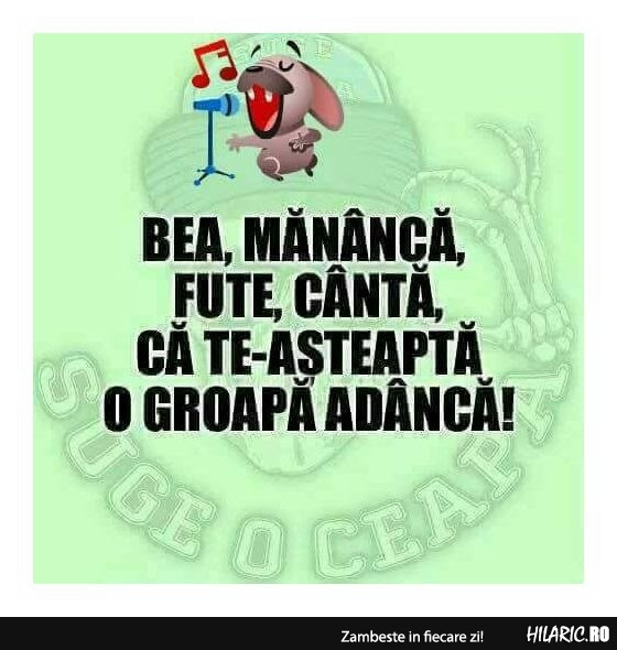 Cele Mai Noi