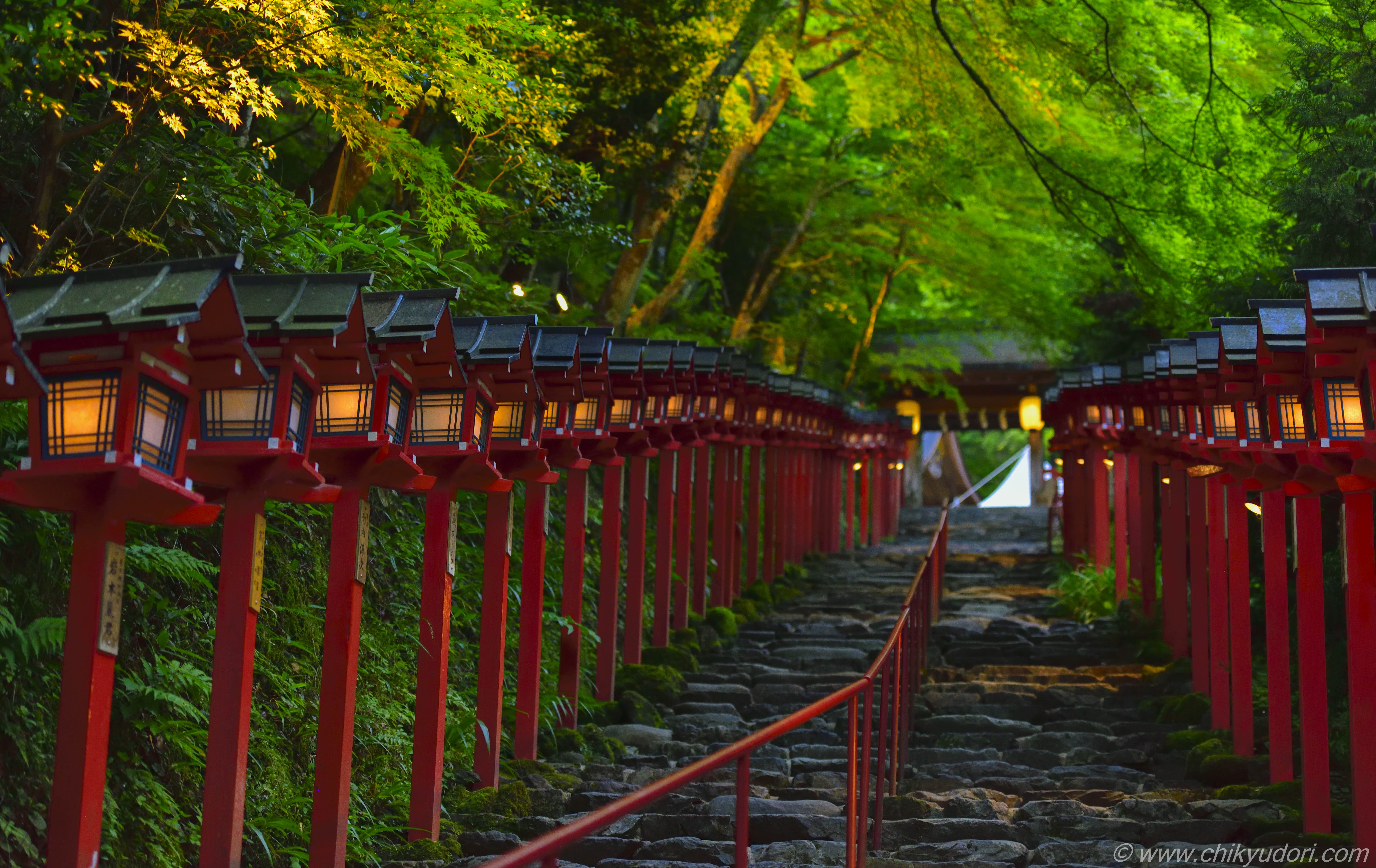 京都の新緑の青もみじ 貴船神社のライトアップ D850の高感度撮影 地球の撮り方