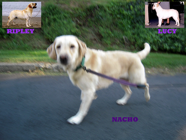 something went wrong