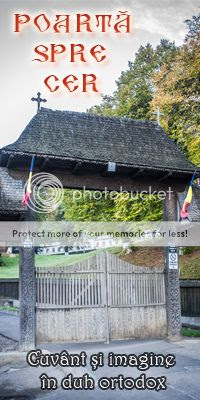  photo banner.jpg