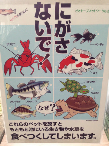 外来種 バスログ Basslog