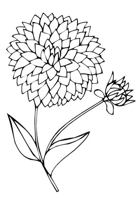 Desen de colorat avand ca tema . Desene cu flori de colorat, planÈe Èi imagini de colorat