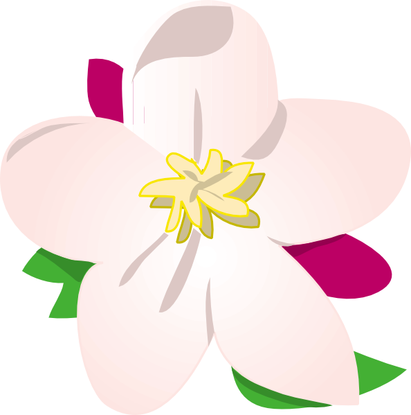 Apple Blossom Clip Art At Clker Com Vector Clip Art Online Royalty Free Public Domain