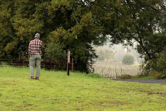 this man needs a vineyard of his own