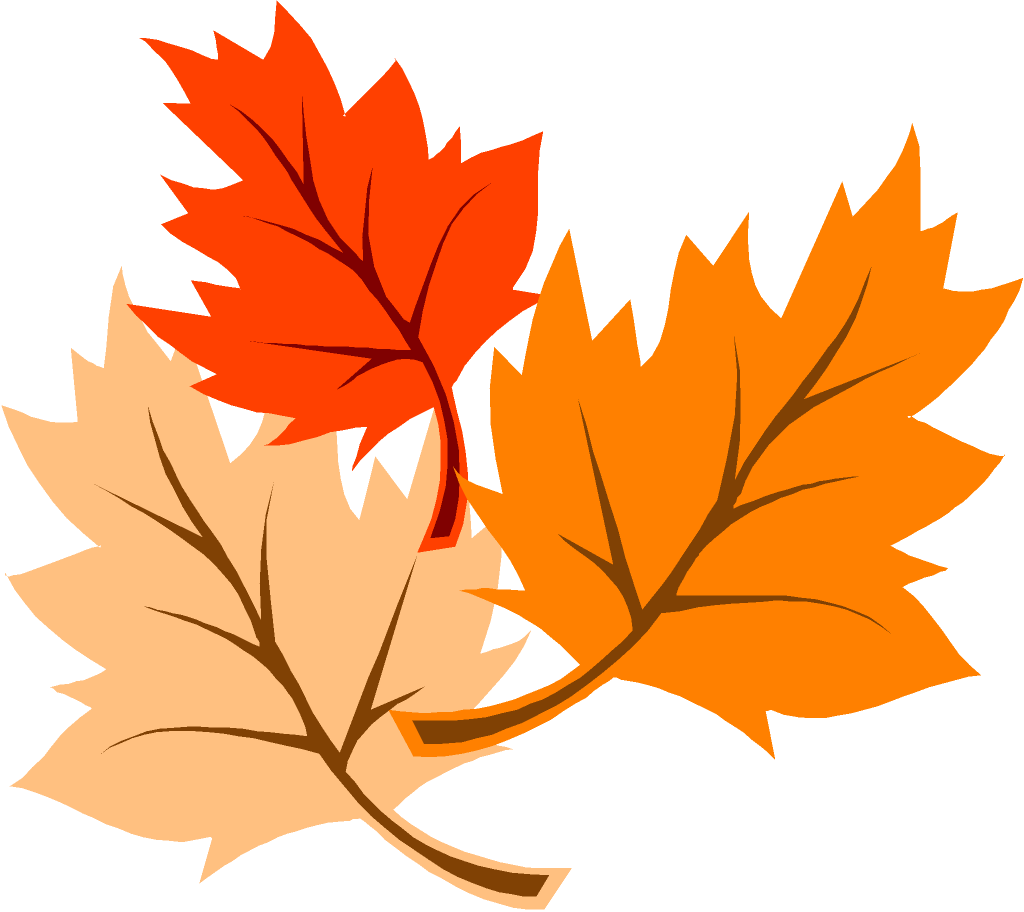 Free Fall Leaves Cartoon Download Free Fall Leaves Cartoon Png Images Free Cliparts On Clipart Library