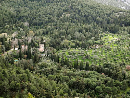 Ελληνικό μεσογειακό τοπίο, δημιουργημένο από τον άνθρωπο: Μονή Καισαριανής (από το αρχείο του συγγραφέα)