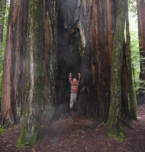 earth day pictures. With the 40th anniversary of Earth Day arriving Thursday, I#39;ve sent the following query to a variety of thinkers and doers focused on charting a sustainable