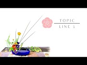 Line 1 - Video Tutorial 