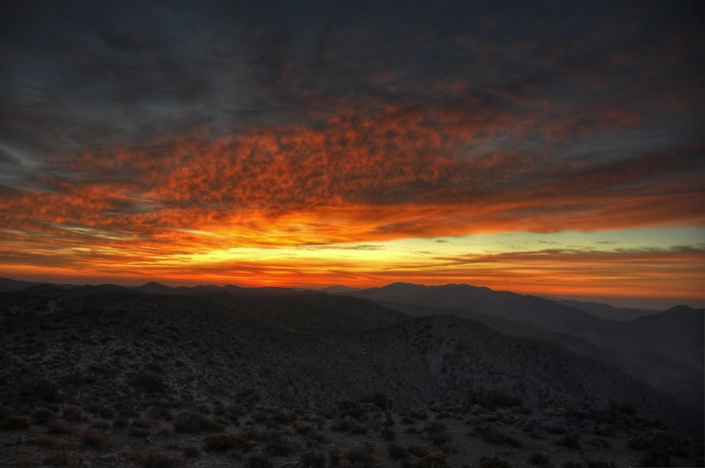 sX9Km El fascinante Parque Nacional Joshua Tree [34 Fotos]