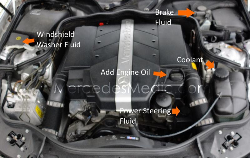 check fluid levels