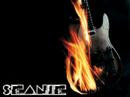 nelly lynyrd skynyrd