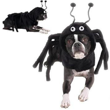 dog spider costume