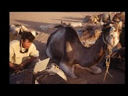 Updated Trans Saharan Camel Expedition , Video Saharan Camel Caravan viral!