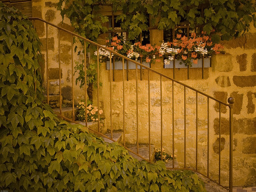 P6221110_1 (by X-it)