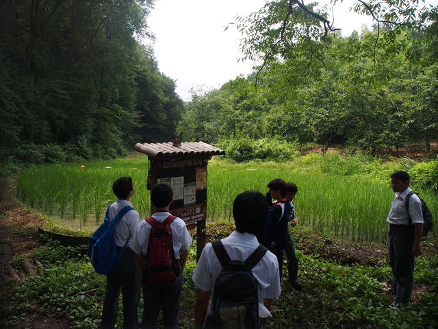 ちょっとそこまで－トトロの森8号地から北野の谷戸