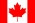 nation flag