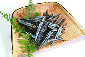 キビナゴ干物 きびなご丸干し干物 を通販 お取り寄せ 創業八十余年の販売実績 高知の海産物専門店 中田遊亀商店