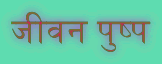 जीवन पुष्प 