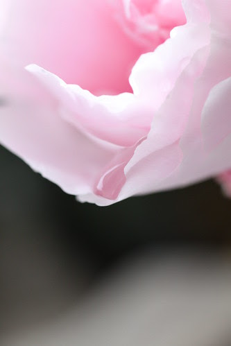 Water drop