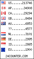 visitors by country counter